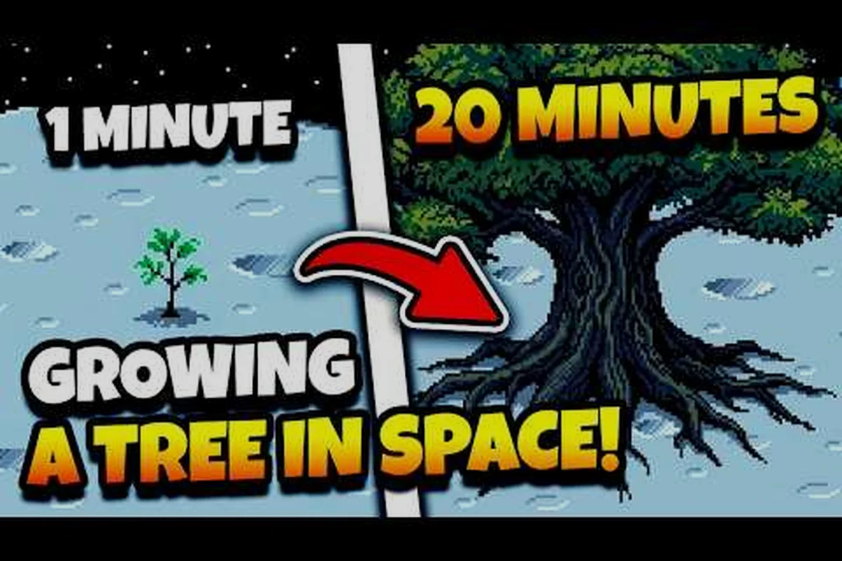 Moon Garden Tree Grow Again: Mulching Explained